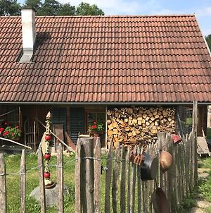 Villa Getreidekasten auf einer Lamafarm Oberndorf an der Melk Exterior photo