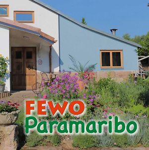 Ferienwohnung Fewo Paramaribo Witzenhausen Exterior photo