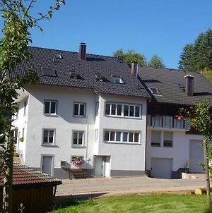 Ferienwohnung am Geißberg Kleines Wiesental Exterior photo