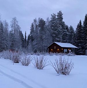 Villa Lapin Paradise Rovaniemi Exterior photo