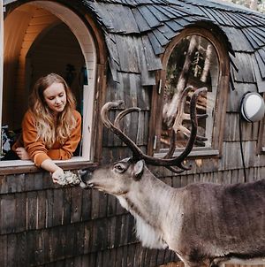 Villa Igluhut – Sleep with reindeer Espoo Exterior photo