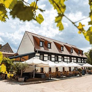 Weingut Schuh - Pension Zur Bosel Coswig  Exterior photo