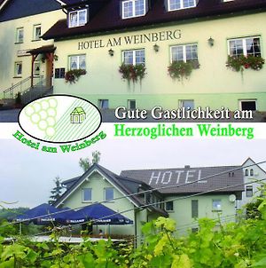 Hotel am Weinberg Freyburg  Exterior photo