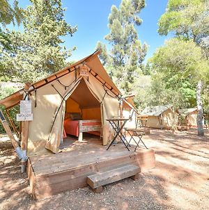 Hotel Salema Eco Camp - Sustainable Camping & Glamping Exterior photo