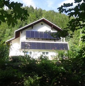 Ferienwohnung Haus-am-Sonnenweg Lackenhof Exterior photo