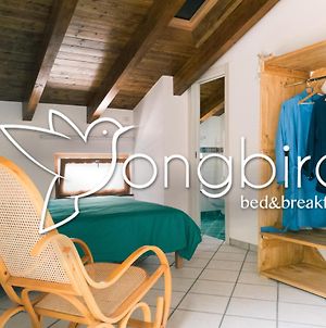 Bed and Breakfast Songbird Agerola Exterior photo