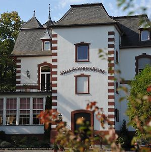 Villa Sophienhöhe Kerpen  Exterior photo