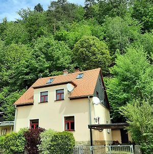 Villa Ferienhaus Jahrhundertreisen Bad Schandau Exterior photo