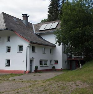 Villa Zur alten Oele - Hochwertig und Familienfreundlich Lenzkirch Exterior photo