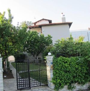 Traditional Apartment Part Of A Detached Villa On A Luxurious Hill Of Thessaloniki Panorama With A Private Garden With Trees ,Also Available For Family And Other Gatherings And Kid'S Parties - Under 13 , For Less Than 20 People Alltogether Exterior photo