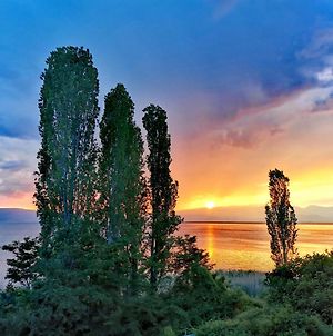 Villa Kalina Ohrid Exterior photo