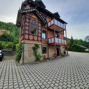 Ferienwohnung Villa Frosch Meiningen Exterior photo