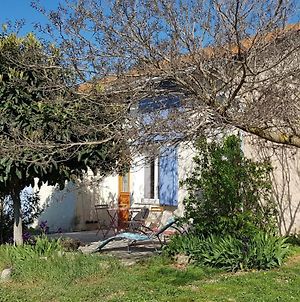 Villa Petite Maison Refaite A Neuf Dans Mas Du 19Eme Siecle Arles Exterior photo