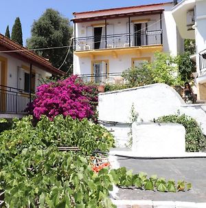 Antigoni Apartments Kassiopi Exterior photo