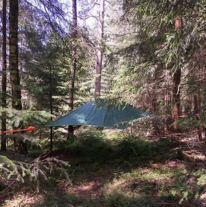 Bed and Breakfast Baumzelt im Wald Regen Exterior photo