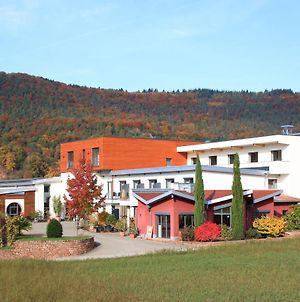 Main-Vinotel Weingut Helmstetter Buergstadt Exterior photo