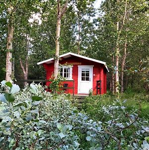 Ferienwohnung Bakkakot 3 Cozy Cabin In The Woods Akureyri Exterior photo