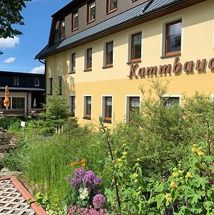 Hotel Dachsbaude&Kammbaude Kurort Seiffen/Erzgebirge Exterior photo