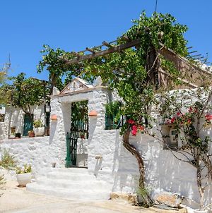 Villa Itonia House Amorgos Exterior photo