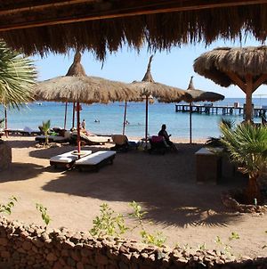 Bed and Breakfast Sunshine Divers Club - Il Porto Sharm El-Sheikh Exterior photo