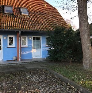Villa Achtern Diek Doppelhaushälfte Dierhagen Exterior photo