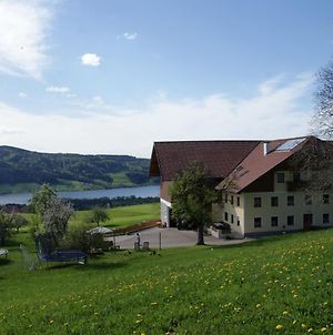 Villa Ferienhof Edtmeier Zell am Moos Exterior photo
