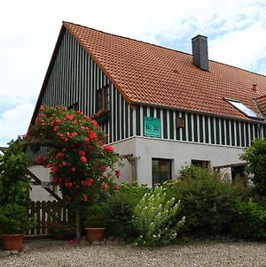 Haus Wildgans Ferienwohnung Rose Behrensdorf Exterior photo