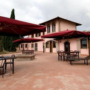 Villa Azienda Agricola Sinisi Cerveteri Exterior photo