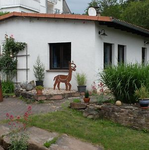 Villa Haus Alpaka Bad König Exterior photo