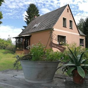 Villa Ferienhaus BB2 Bad Brambach Exterior photo