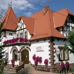 Hotel Willa Palacyk Świeradów-Zdrój Exterior photo