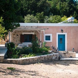 Villa Chaihoutes Stone House Into Olive Farm In Zia Agios Dimitrios  Exterior photo