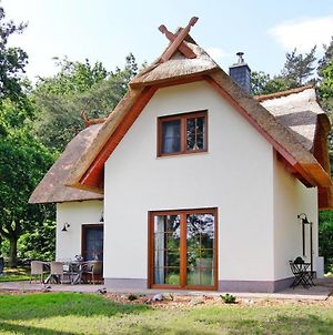 Holiday home Kranichnest, Zirchow Exterior photo