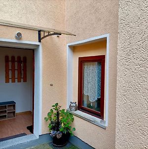Lovely Apartment In Saxony With Terrace And Barbecue Rathmannsdorf Exterior photo