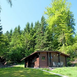 Villa Cozy Chalet In W Rgl Boden With Private Garden Salvenberg Exterior photo