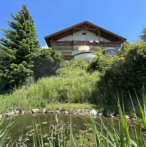 geräumige neu ausgestattete Ferienwohnung mit Seeblick und Bergpanorama Millstatt am See Exterior photo