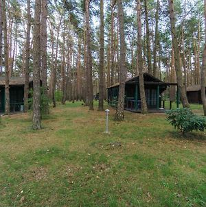 Hotel Urlaub im Bungalow - mitten im Wald Lutow Exterior photo
