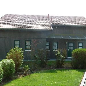 Villa Ferienhaus Nr 16B, Feriendorf Hagbügerl, Bayr Wald Waldmünchen Exterior photo