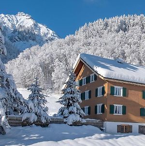 Villa Alps Hoamat Mellau Exterior photo