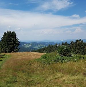 Ferienwohnung Traumurlaub im Bayerische Wald Sankt Englmar Exterior photo