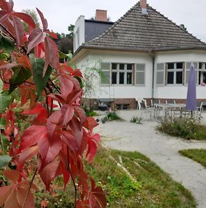 Villa Kleines Landhaus am Wald Bad Saarow Exterior photo