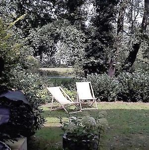 Ferienwohnung Schickes Wohnstudio mit Garten am Aasee Ibbenbüren Exterior photo