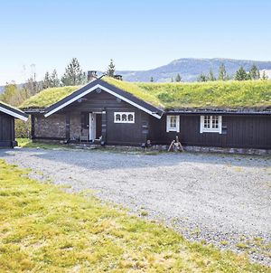 Awesome Home In Hemsedal With 4 Bedrooms, Jacuzzi And Sauna Exterior photo