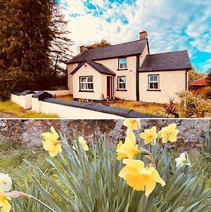 Daffodil Lodge Sligo Exterior photo