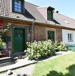 Spacious Holiday Home In Landstorf Zierow With Beach Nearby Exterior photo