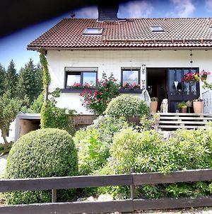 Ferienwohnung Anemone mit Bergblick Braunlage Exterior photo