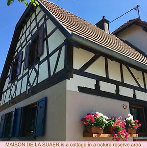 Maison de la Sauer - Bed&Breakfast | Chambre d’hôtes | Ferienhaus Munchhausen Exterior photo