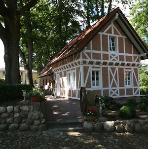 Villa Ferienhaus Erhorn Buchholz in der Nordheide Exterior photo