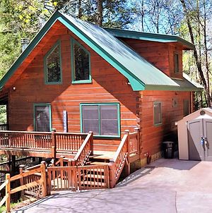 Villa Luxury Cabin With Waterview And Privacy, Hiking Blue Ridge Exterior photo