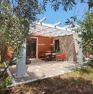 Villa Elea Stone Houses In Organic Quiet Olive Grove, Prinos, Thassos Exterior photo